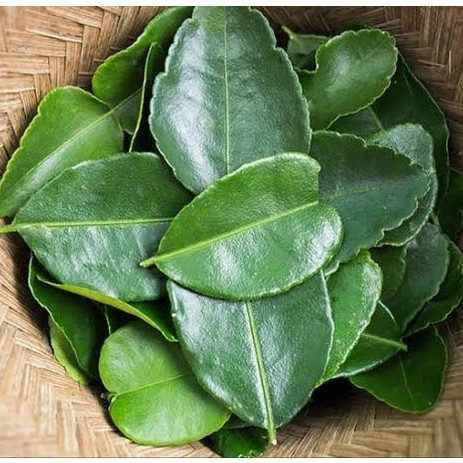 

Daun Jeruk segar 1 Bungkus