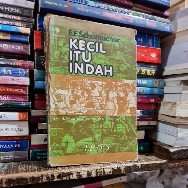 Kecil Itu Indah Ilmu ekonomi yang memetik rakyat kecil by E F Schumacher