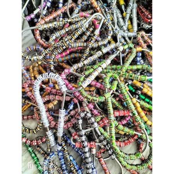 Ring burung murai sudah tercetak nama