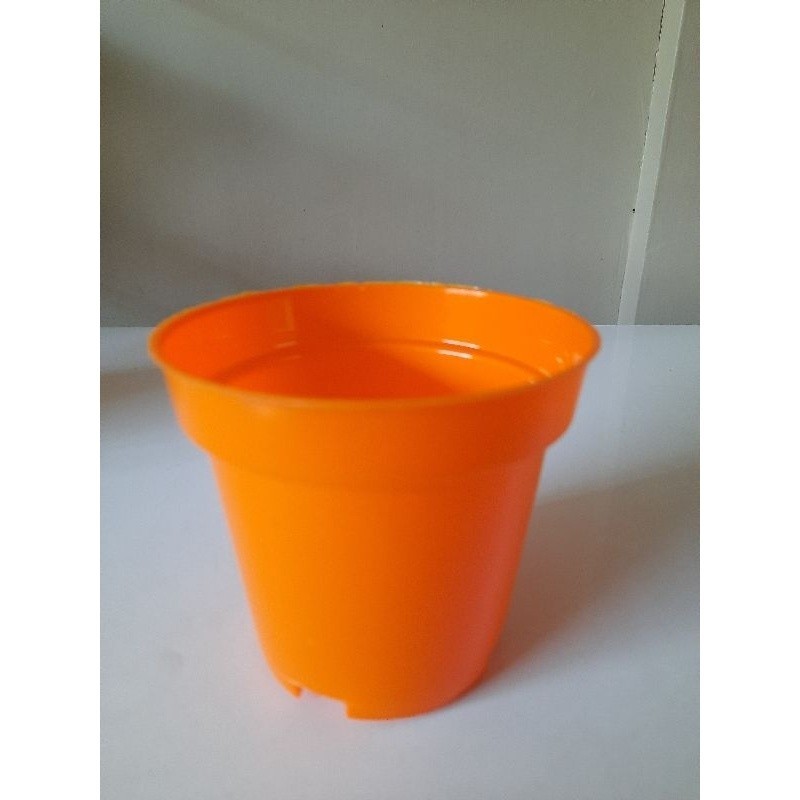 Pot SA10CM-  pot bibit