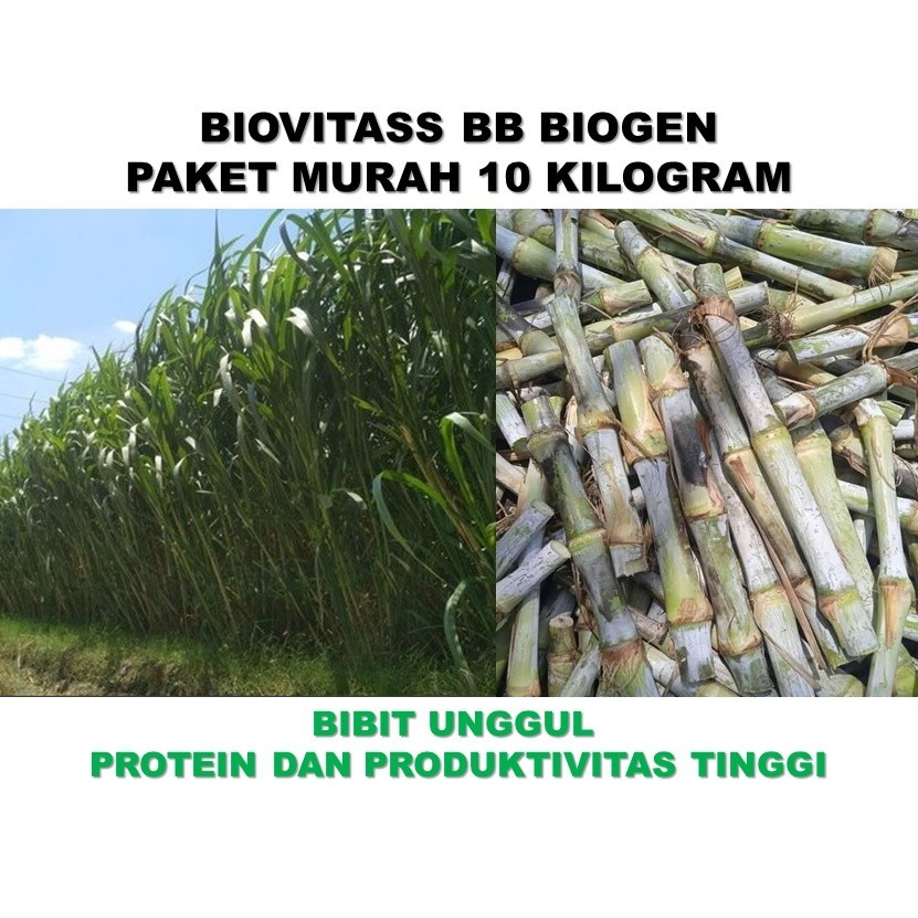 Bibit Biovitass BB Biogen 10 kilogram