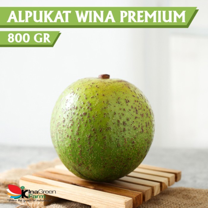 

Buah Alpukat Wina Premium Inagreen