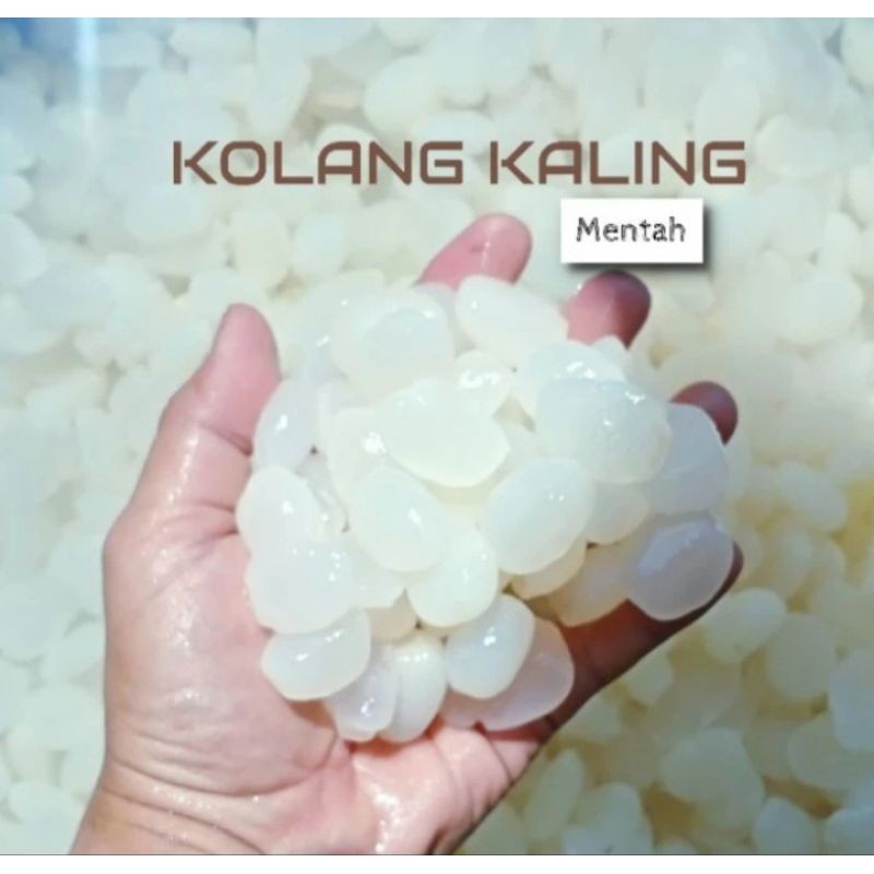 

BIG PROMO Kolang Kaling Mentah Super Sortir Kualitas Intuk Suplayer Supermarket 1Kg