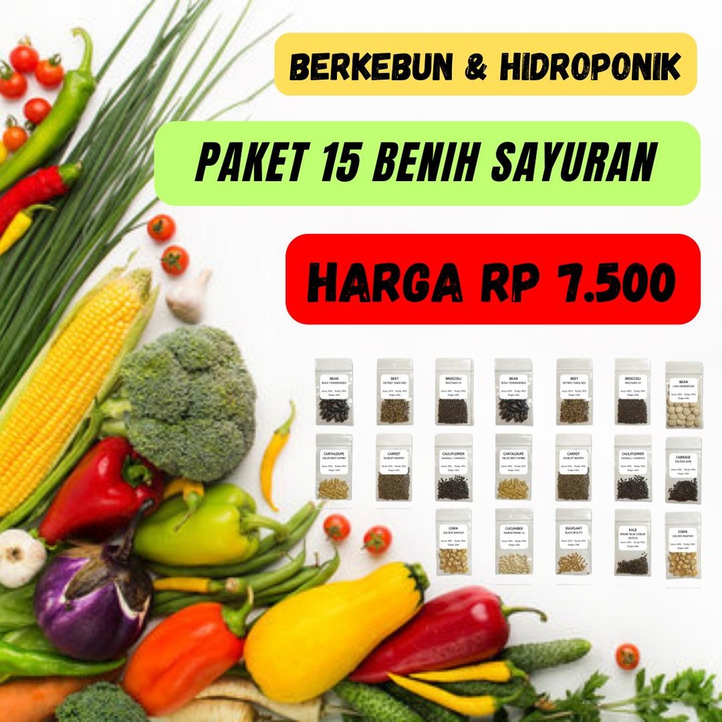 PAKET 15 MACAM BENIH SAYURAN HANYA RP 7.500 - SAYURAN RUMAHAN BERKEBUN HIDROPONIK