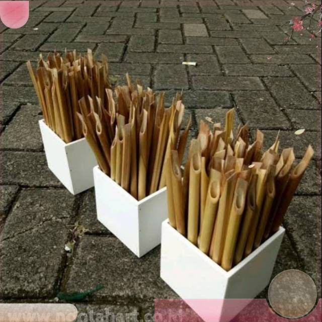 

Pena/Kalam/pensil/kuas Bibit berkualitas