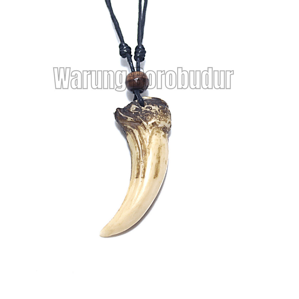 Kalung Pria Liontin Taring Macan Kalung Tali Taring Macan Kalung Etnik