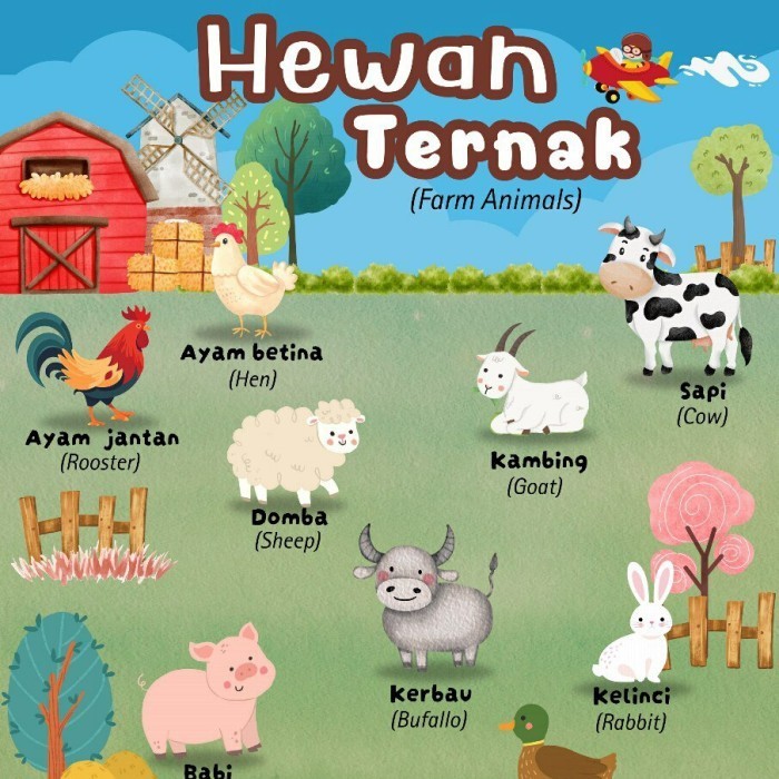 Poster Edukasi Hewan Ternak