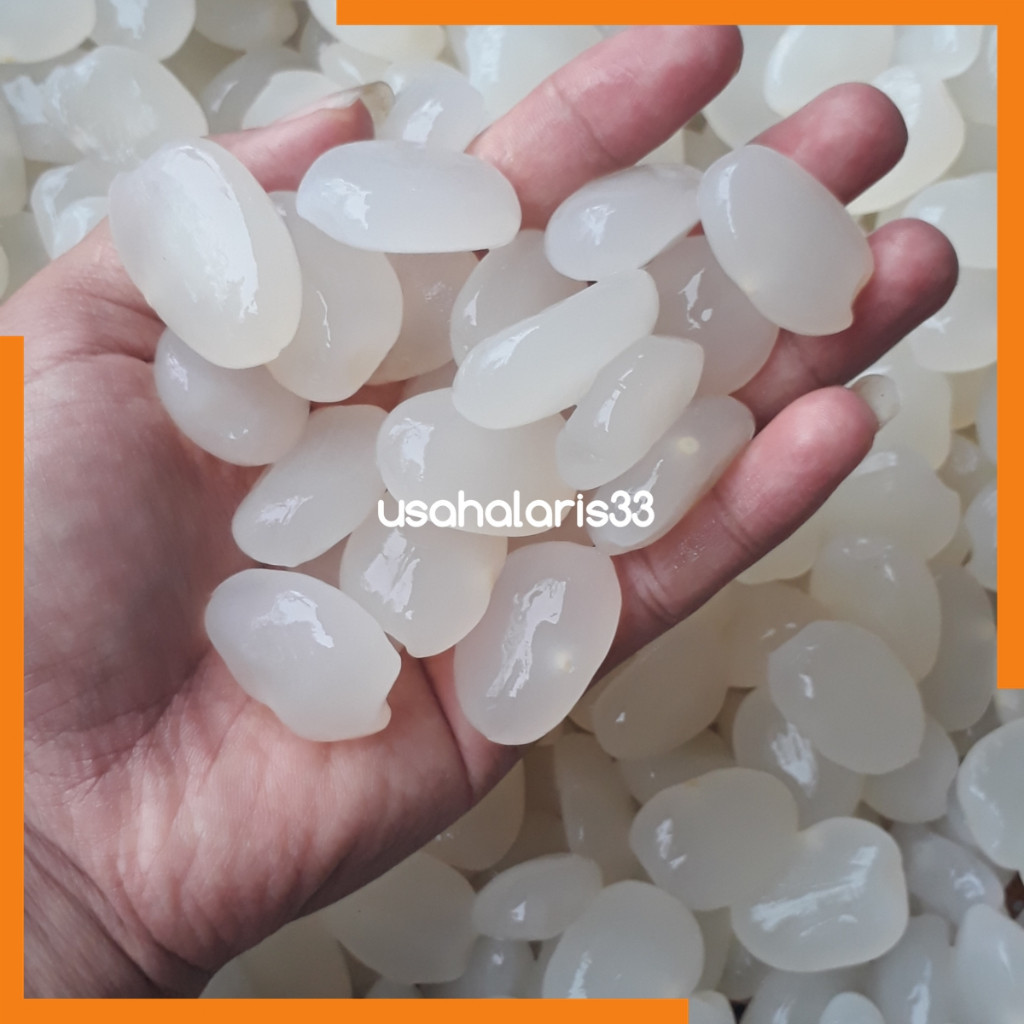 

PROMO SEGAR Kolang Kaling 1kg Super ready