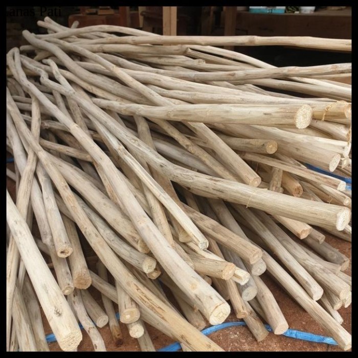 

Terbaru Ranting Pohon Jati Kayu Ranting Dekorasi Panjang 100-200 Cm Best Seller - panjang 100 cm XD7