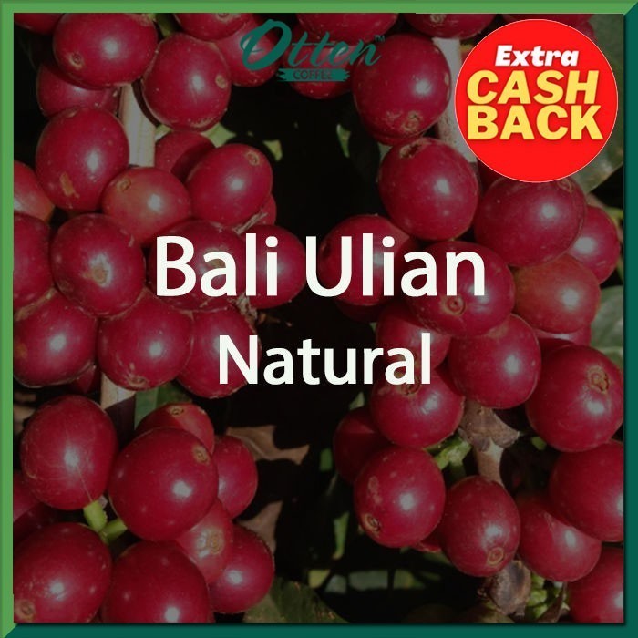 

Green Bean Arabica Bali Ulian Natural Process - 1 Kg
