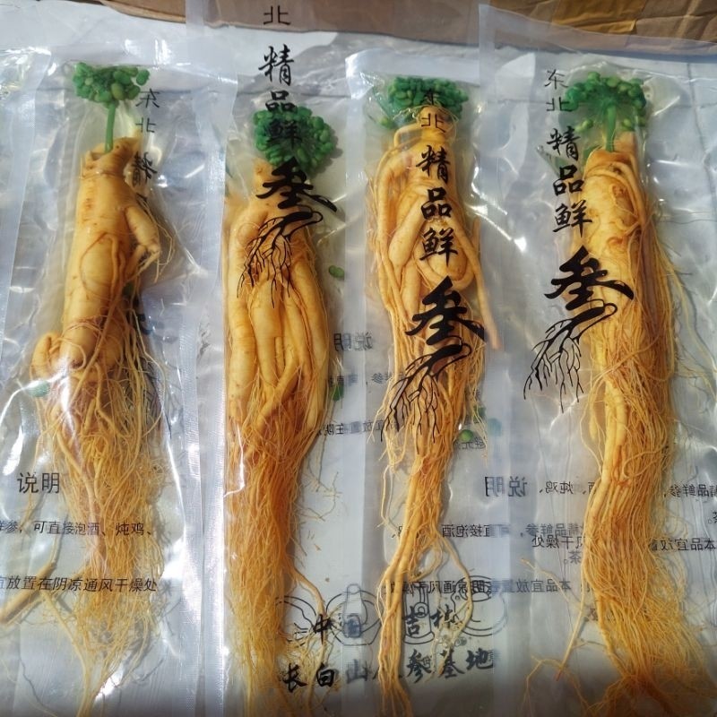 

200gr Ginseng Asli Fresh Gunung Changbai