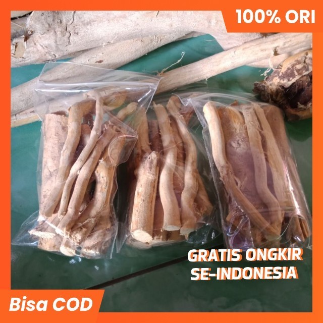 

AKAR PASAK BUMI KALIMANTAN OBAT HERBAL SAKIT PINGGANG, STAMINA PRIA, HERBAL ASAM URAT, TONGKAT ALI