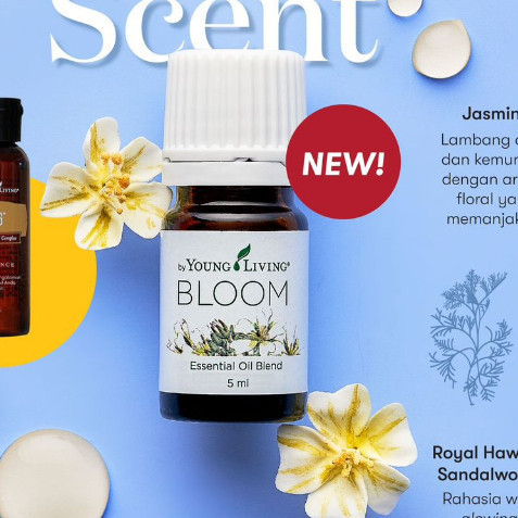 YL Young Living Essential Oil -Bloom 5ml