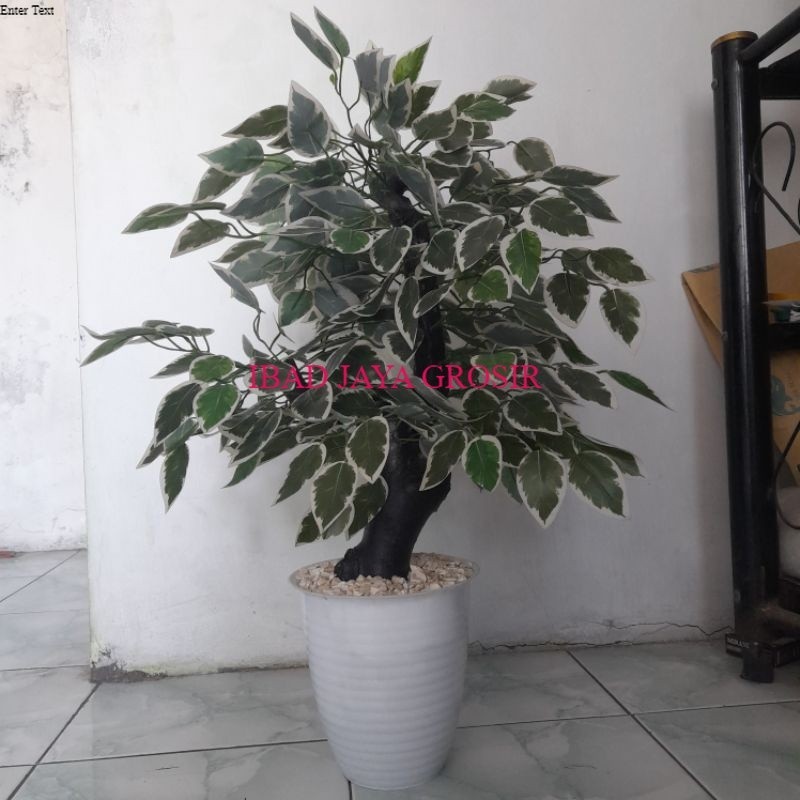 Tanaman Hias Artificial Pohon Beringin Varigata Tinggi 60cm Pot Putih
