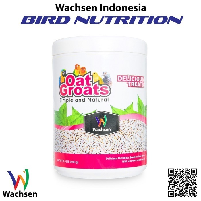 

Terbaru- Makanan Burung Oat Groats Simple and Natural