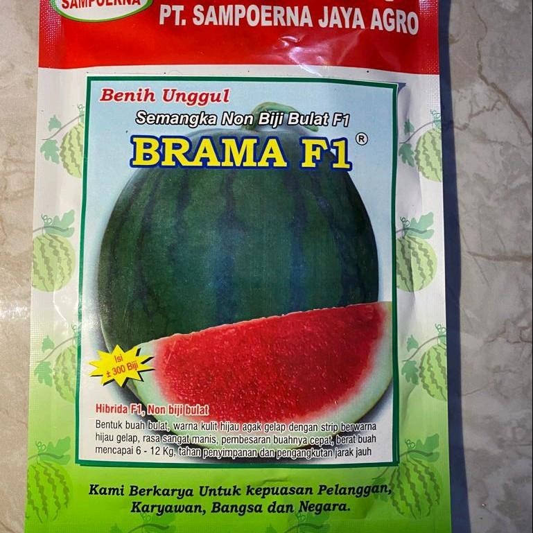 (Brama F1, 20 gram) 350 biji Bibit semangka non biji bulat SAMPOERNA JAYA