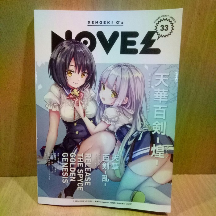 Novel import Jepang:DENGEKI G'z NOVEL 33