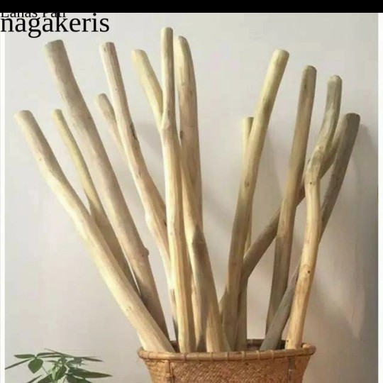 

ranting kayu jati murah - ranting jati - ranting kayu macrame 30 cm FXN6 XD10