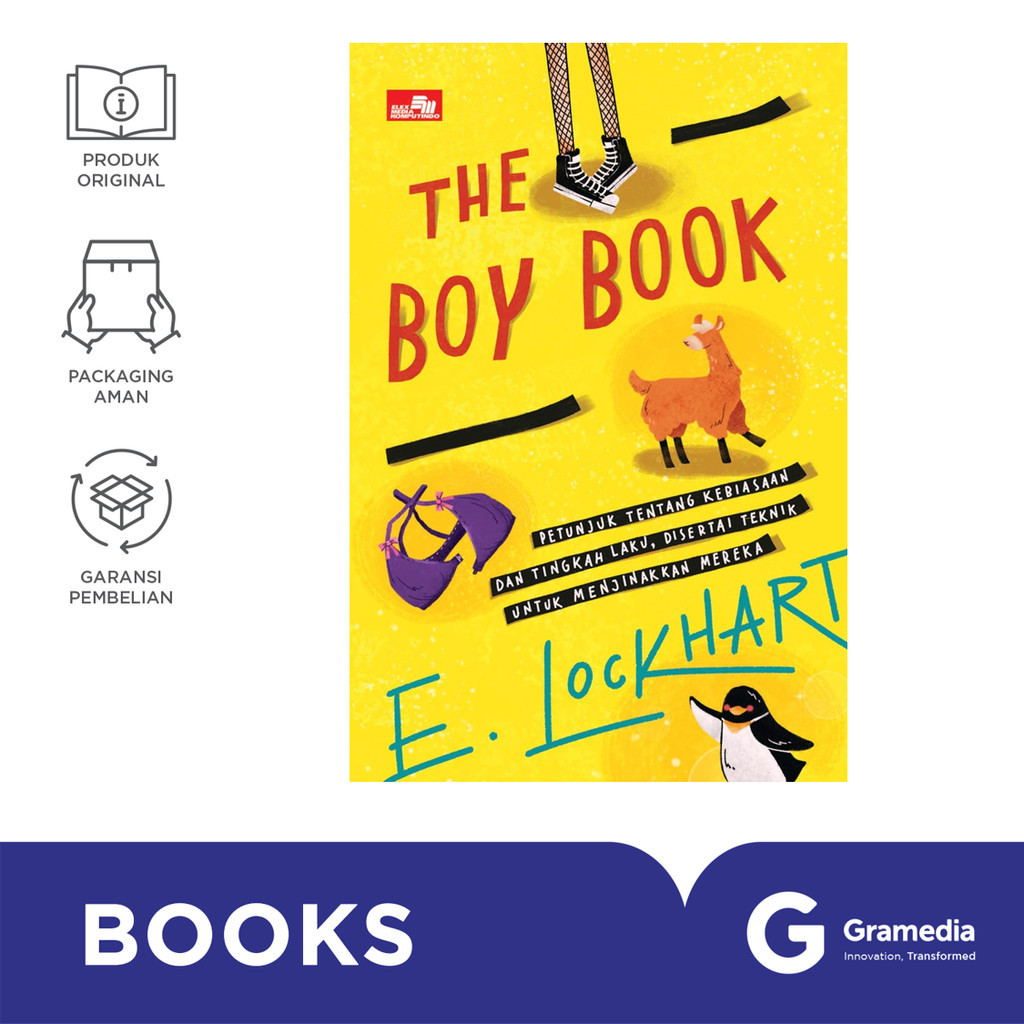 Novel The Boy Book (E. Lockhart)