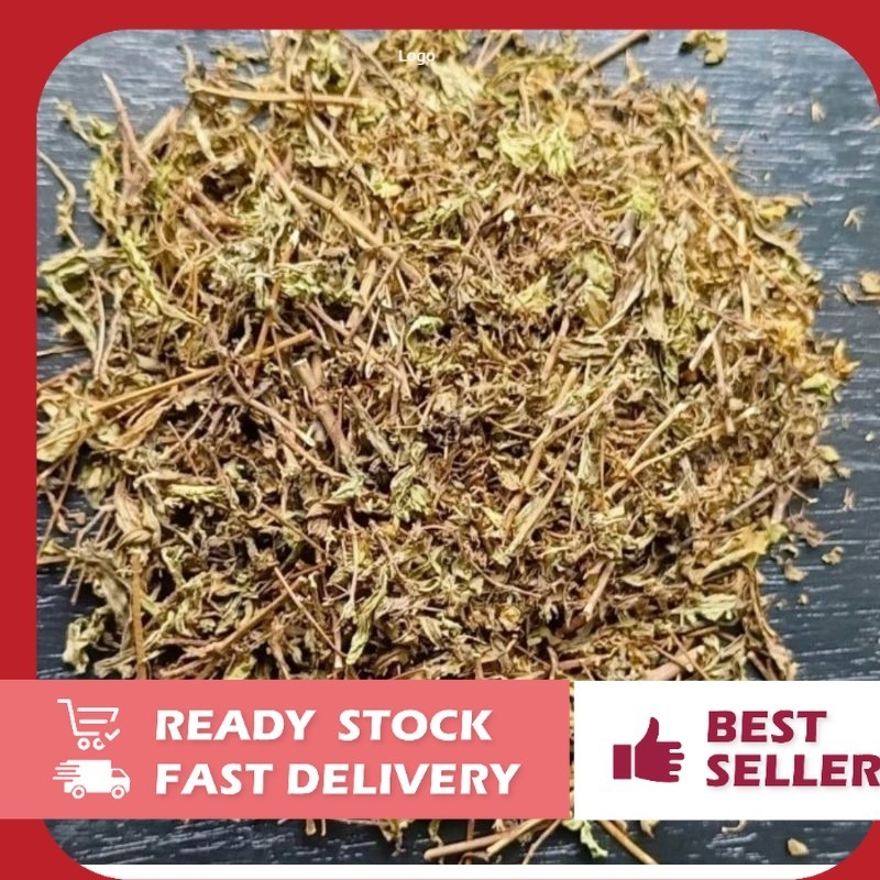 Promo Stevia Kering 500g Kering Alami Murni Organik Pengganti Teh Gula