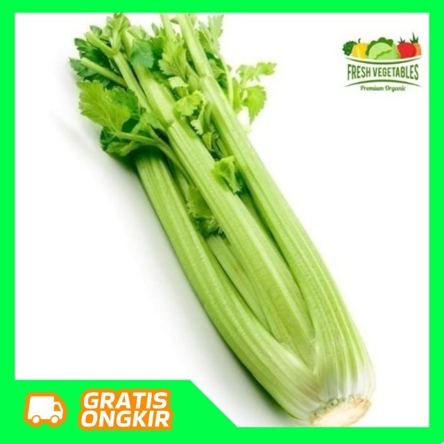 

Celery Stick Import 500gr