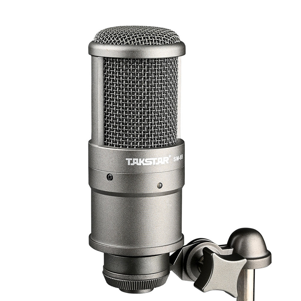 TAKSTAR Studio Microphone/Recording Microphone, Condenser Microphone with Windproof Sponge for Vocal