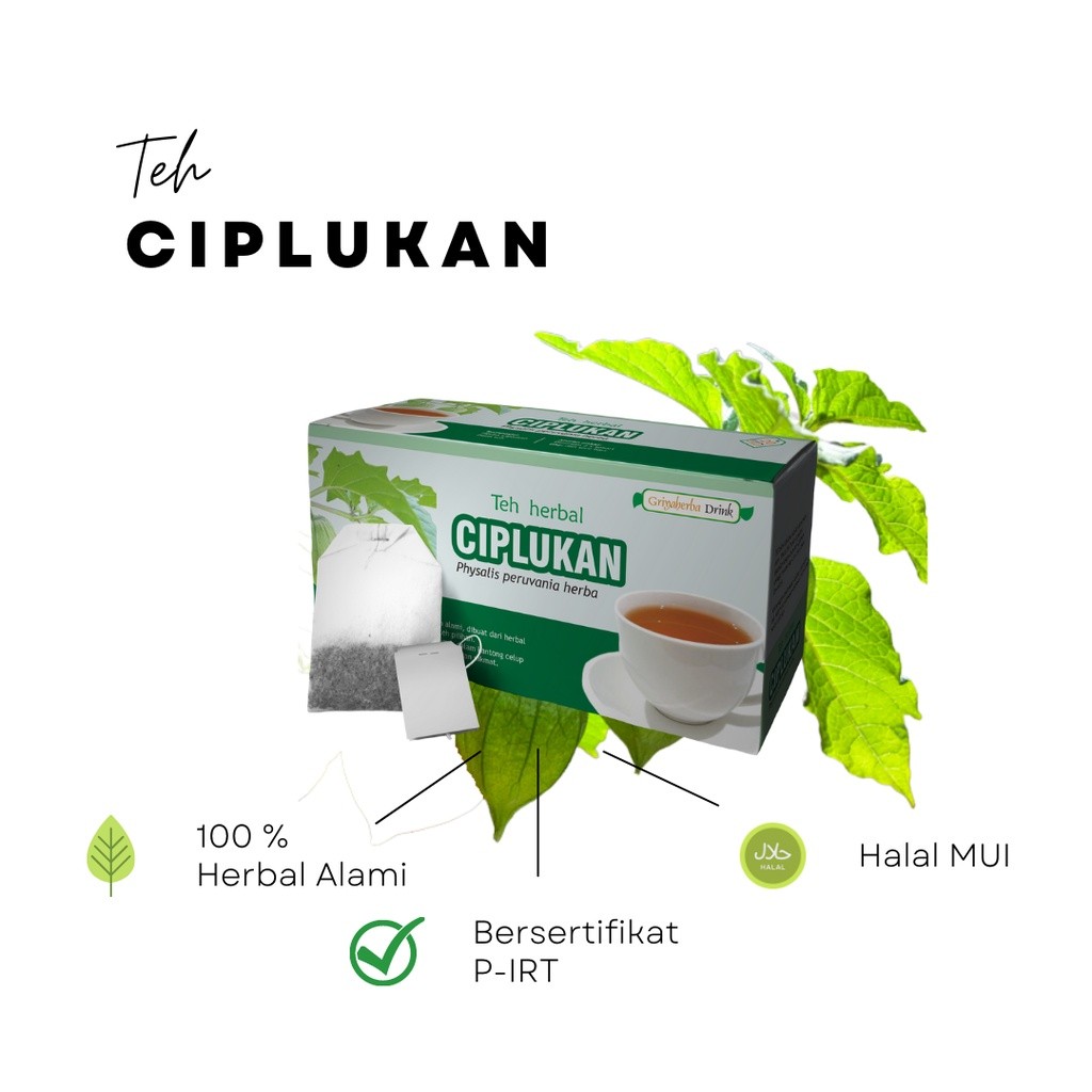 

[ ] - Teh Celup Herbal Ciplukan Membantu Mengobati Penyakit Influenza Sakit Tenggorokan Diabetes Original Griya Herba 20 Kantong