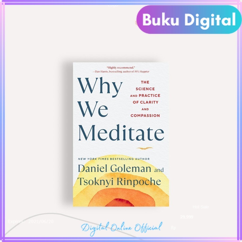 

Why We Meditate || Daniel Goleman, Tsoknyi Rinpoche
