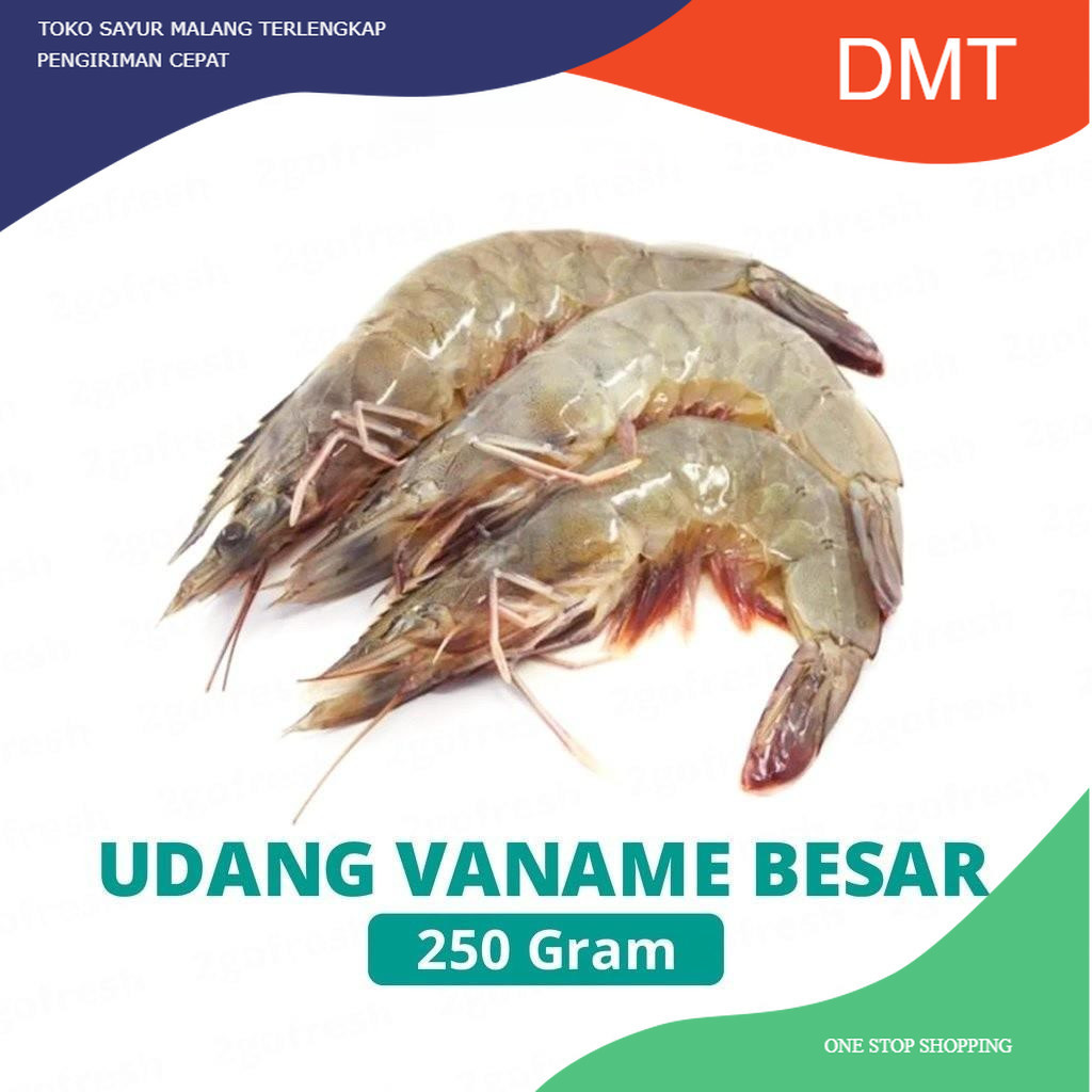 

Udang Vaname/ Vename Besar Fresh - Sayur Sayuran