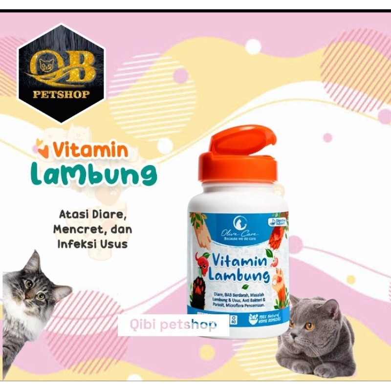 olive Care Vitamin untuk  lambung , diare mencret, infeksi Usus