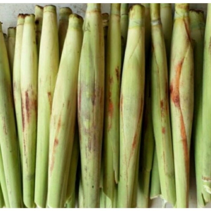 

#Terubuk sayur dengan telur super besar, harga satuan . .