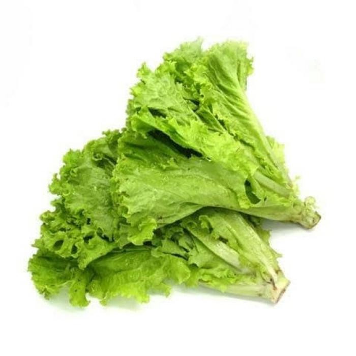 

Selada Keriting Segar 250 gram - Green Leaf Lettuce