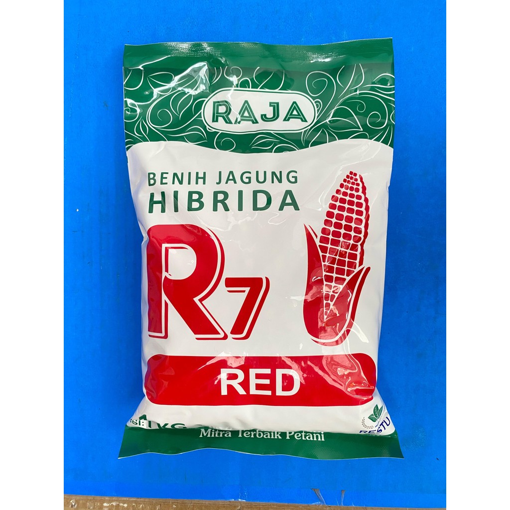 Benih jagung hibrida R7 GOLD, RED ULTIMATE UNION isi 1kg dari RAJA R
