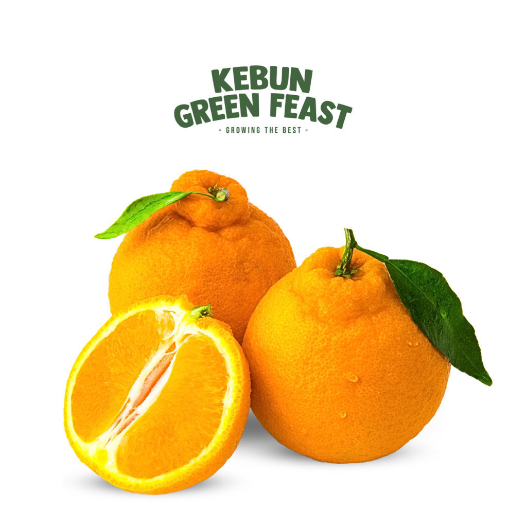 

Jeruk Dekopon - Jeruk Dekopon RRC