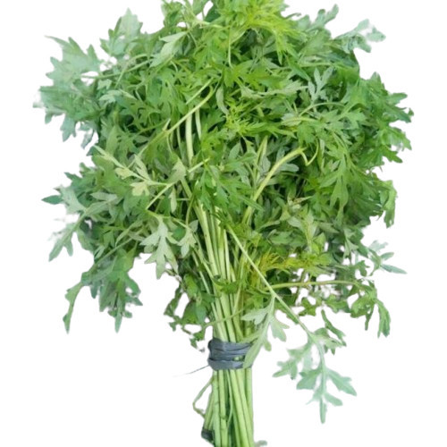 

Daun Kenikir / Sayur Kenikir / 1 Ikat Fresh