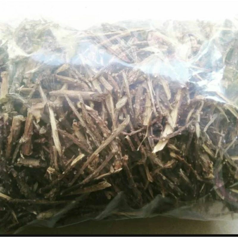 

Brotowali kering herbal alami asli nusantara