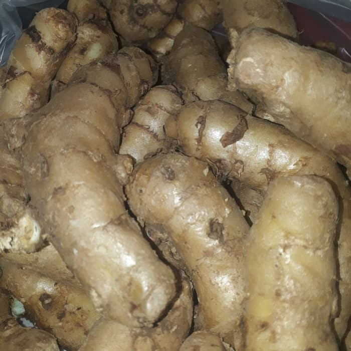 

Baru 1kg Temu Ireng/Temu Hitam Curcuma Aeruginosa
