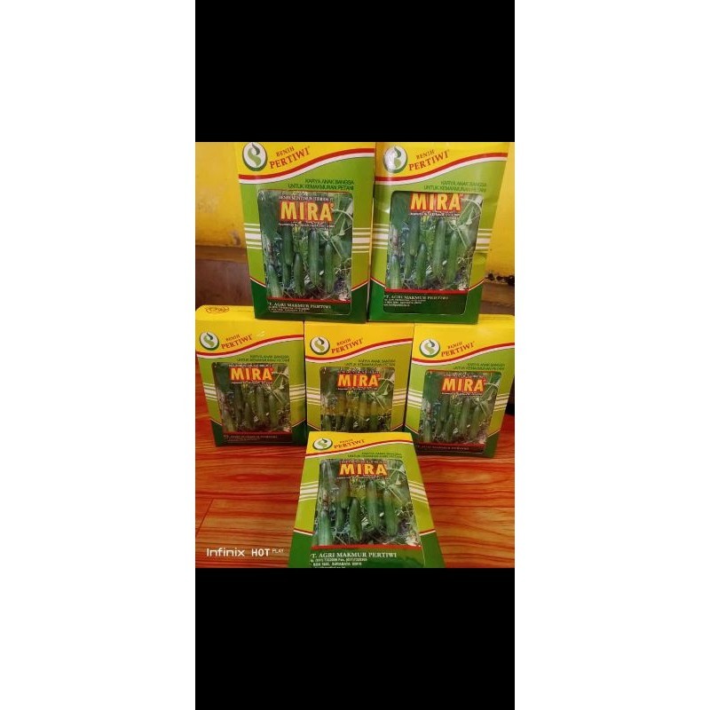 timun Mira (Pertiwi) |MLR OK|