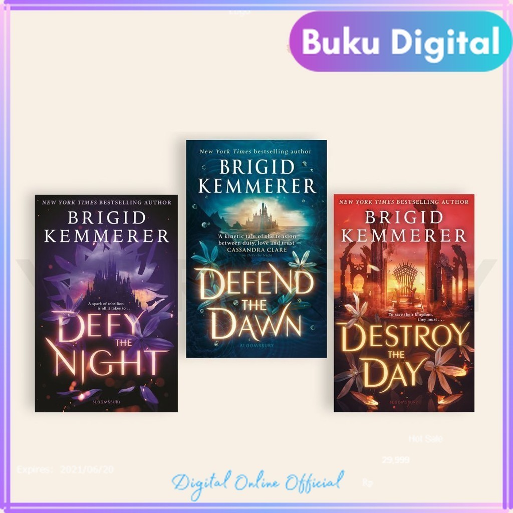 

Defy the Night | Brigid Kemmerer