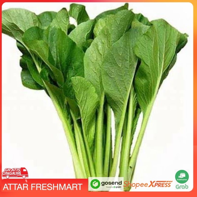

KIRIM INSTANT [ Sawi Hijau Segar ]