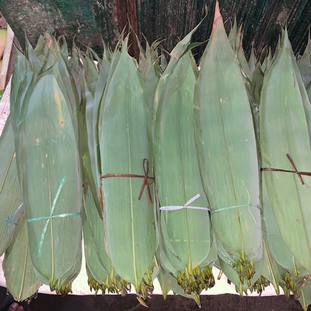 

Daun bambu 1 ikat (daun bacang isi 30lmbr