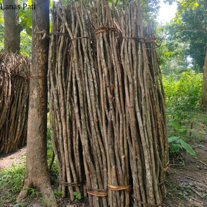 

Dahan ranting kayu jati bahan macrame dan kerajinan sketsel XD5