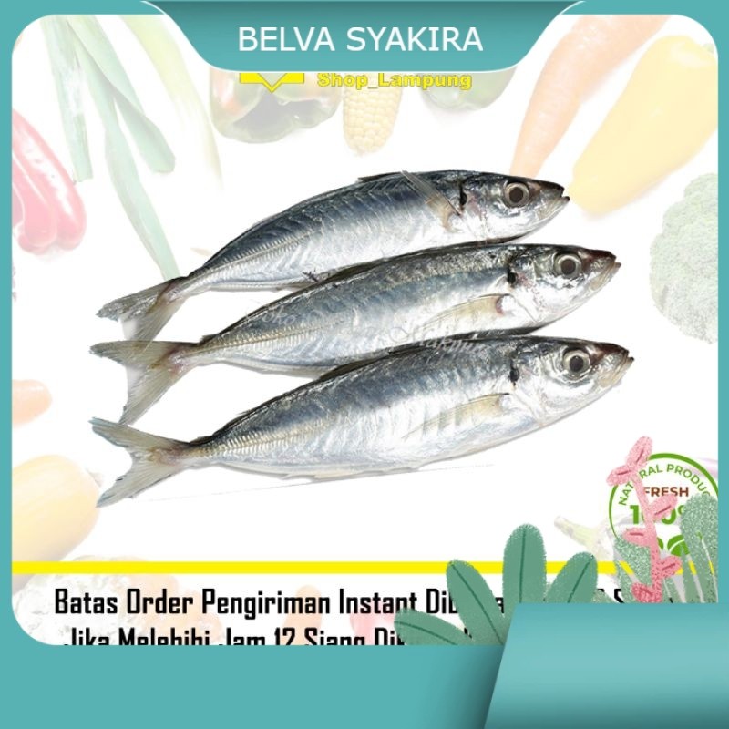

Ikan Layang Fresh 1 kg - Sayur Fresh