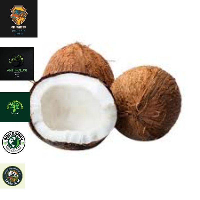 

Kelapa Utuh / Parut | naga_exspress