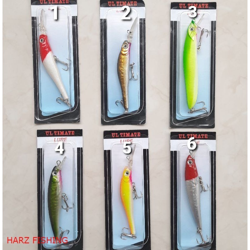Umpan pancing lure minnow 10 cm / 6 gram Sukabumi