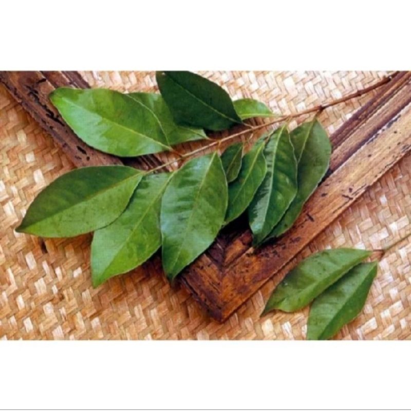 

Daun Salam Segar (harga palembar)