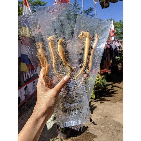 

Paket Hemat 10 Pcs Ginseng China Ukuran Kecil 20 gram / Panax Ginseng asli kemasan vacum