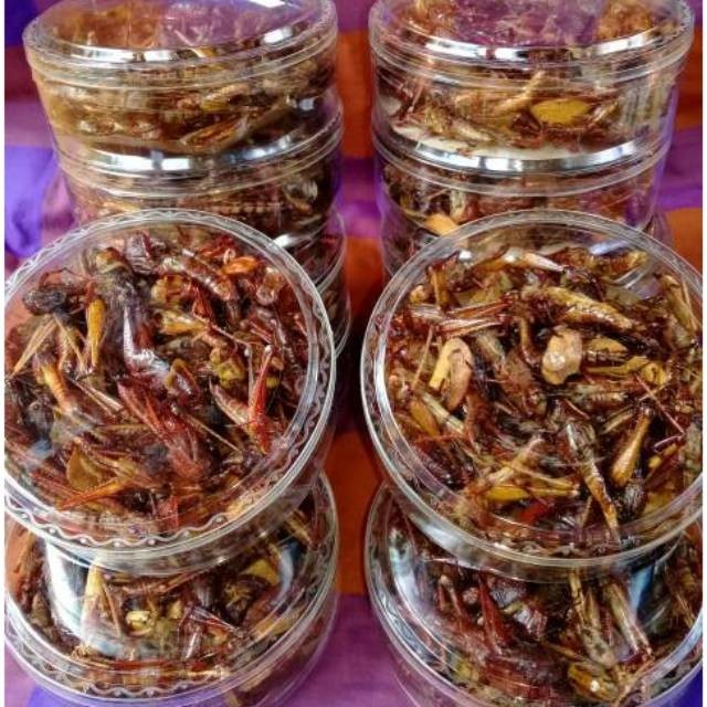 

Belalang kayu harga murah 100k dapat 4 toples