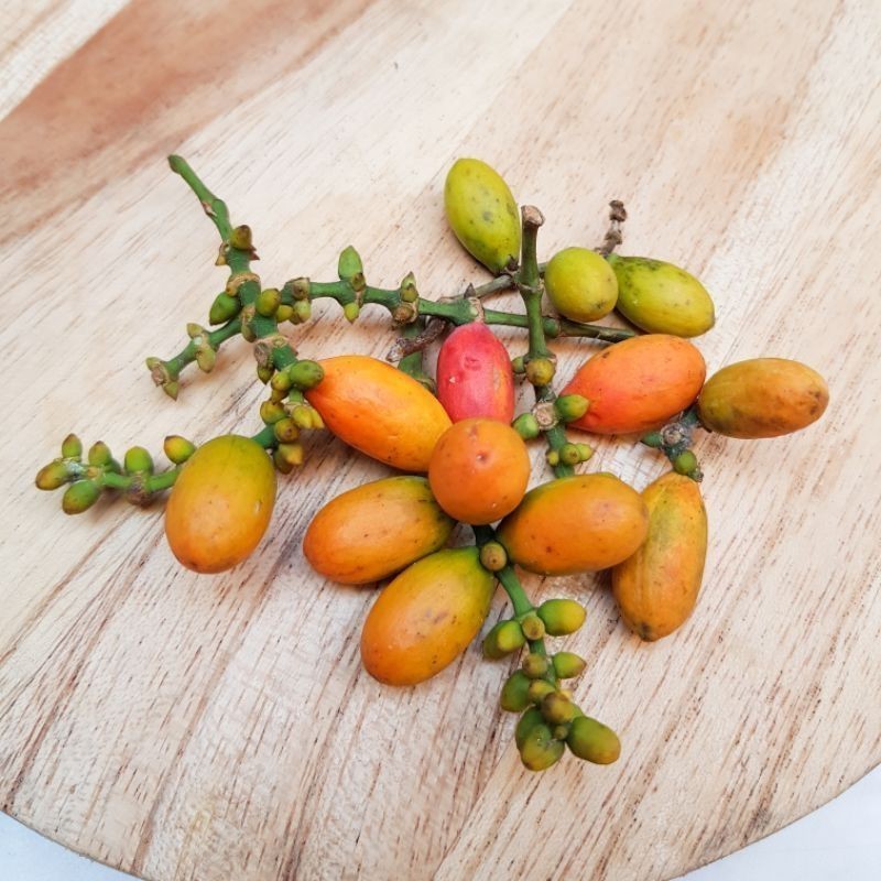 

KIRIM INSTAN buah Melinjo 50gr