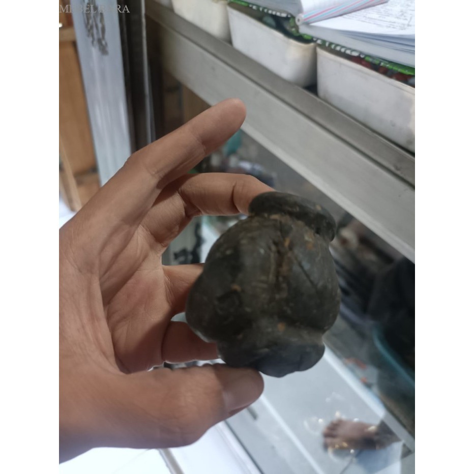 cupu buli ular sepuh singasari milik panji tohjaya bk megantara sengke murah